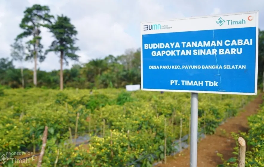 Dari Pertanian hingga Perikanan, PT TIMAH Dukung Ketahanan Pangan di Wilayah Operasional