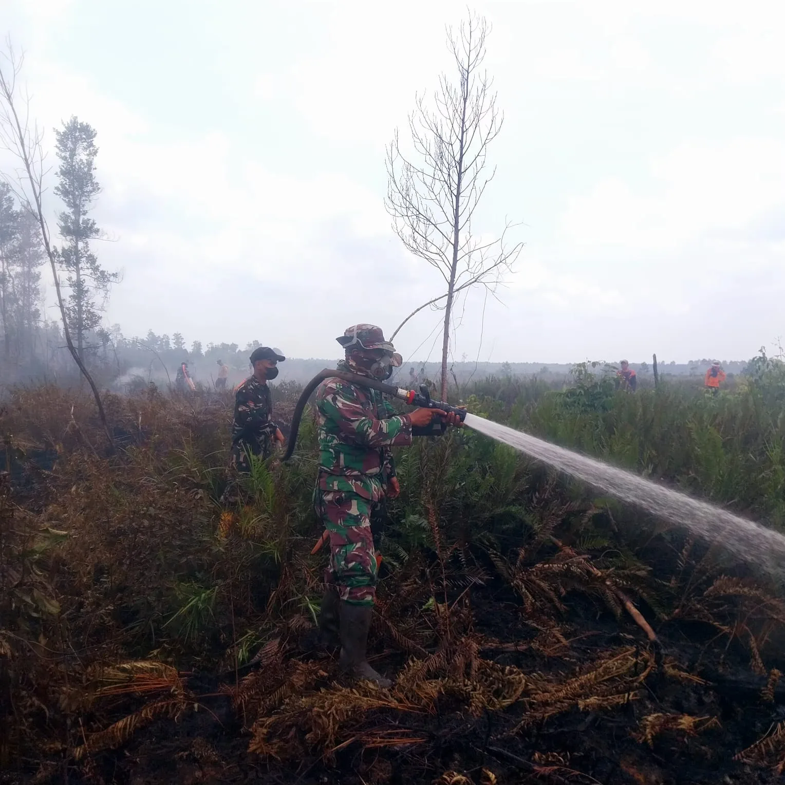 Kodam XIX/Tuanku Tambusai Perkuat Penanganan Karhutla, 92 Persen Lahan Terdampak Berhasil Dipadamkan