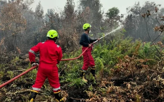 PT TIMAH Kerahkan Personel Fire Fighter Bersama Grup MIND ID Tangani Karhutla di Kalimantan Barat 