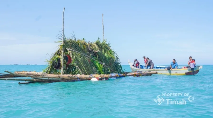 Dari Terumbu Buatan hingga Restocking Cumi, Upaya PT TIMAH Jaga Ekosistem Laut dan Dukung Nelayan